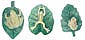 Click on the Image to see a better resolution Image