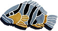 CLICK HERE TO SEE A DETAILED IMAGE