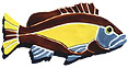CLICK HERE TO SEE A DETAILED IMAGE