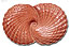 Click on Image to see a detailed version