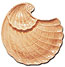 Click on Image to see a detailed version